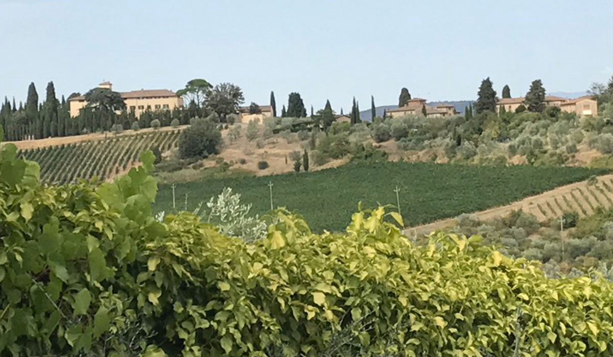 Semifonte Toskana - Barberino Val d'Elsa visuel 1/5