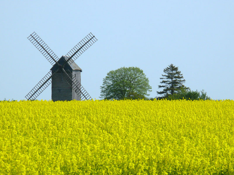 Senonches Großes Zentrum - Senonches visuel 1/1 Senonches Großes Zentrum - Senonches visuel 1/1