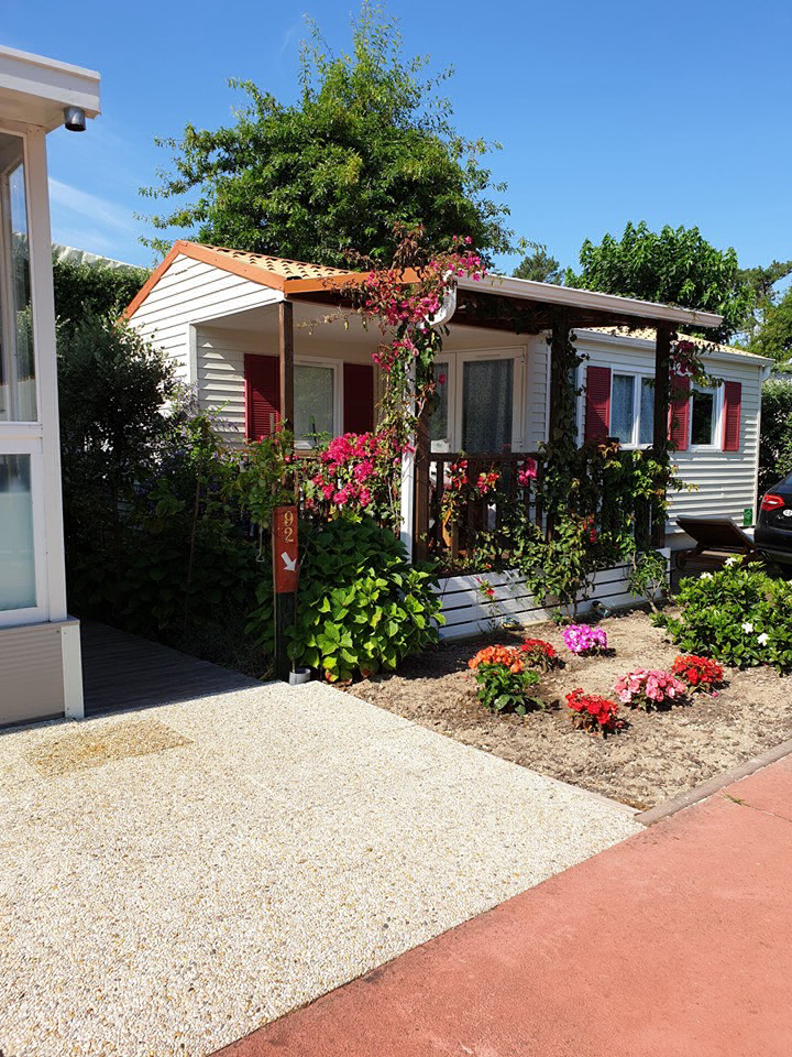 Sereia da Gelfa Norte - Caminha visuel 4/4