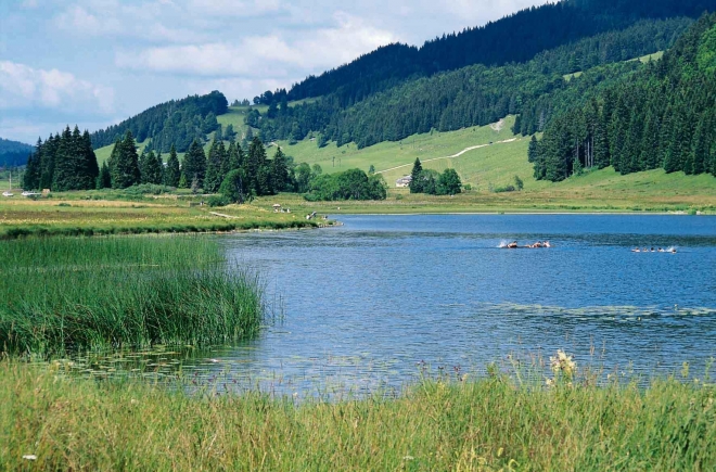 Sous Doriat Franche-Comté - Monnet-la-Ville visuel 2/17 Sous Doriat Franche-Comté - Monnet-la-Ville visuel 2/17