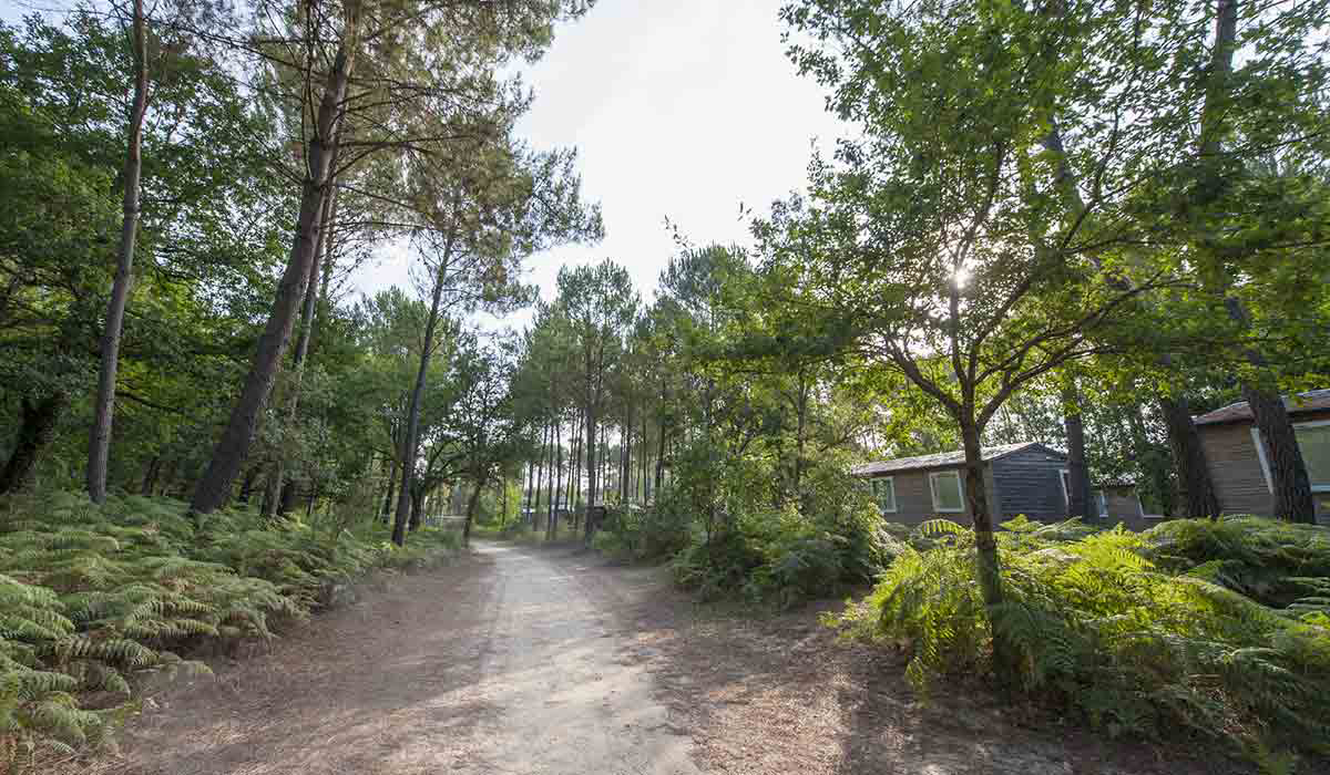 Soustons Village Aquitanien - Soustons visuel 20/25 Soustons Village Aquitanien - Soustons visuel 20/25