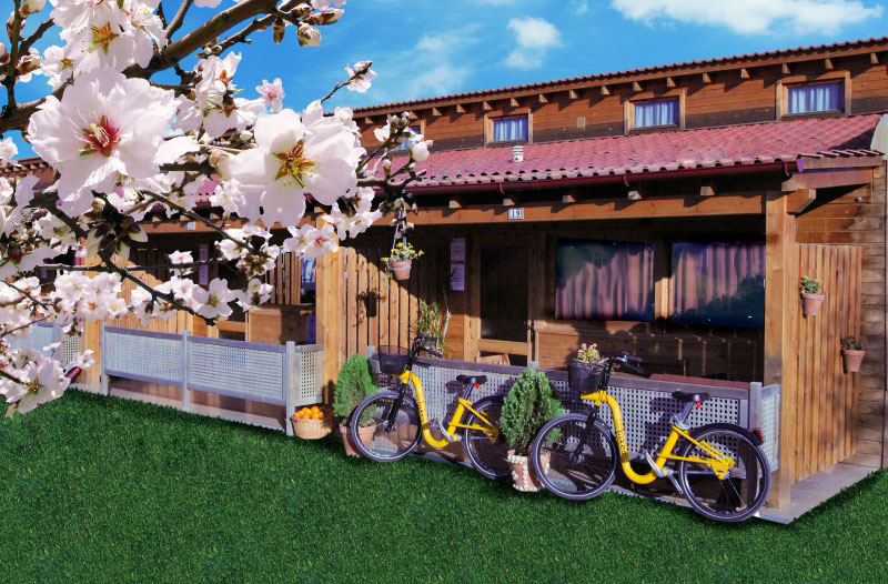 Spa Natura Resort Costa del Azahar - Peñiscola visuel 12/12