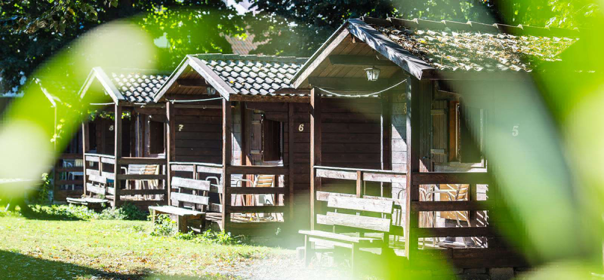 Steiner Trentino Südtirol - Trentino Südtirol - Laives visuel 2/3