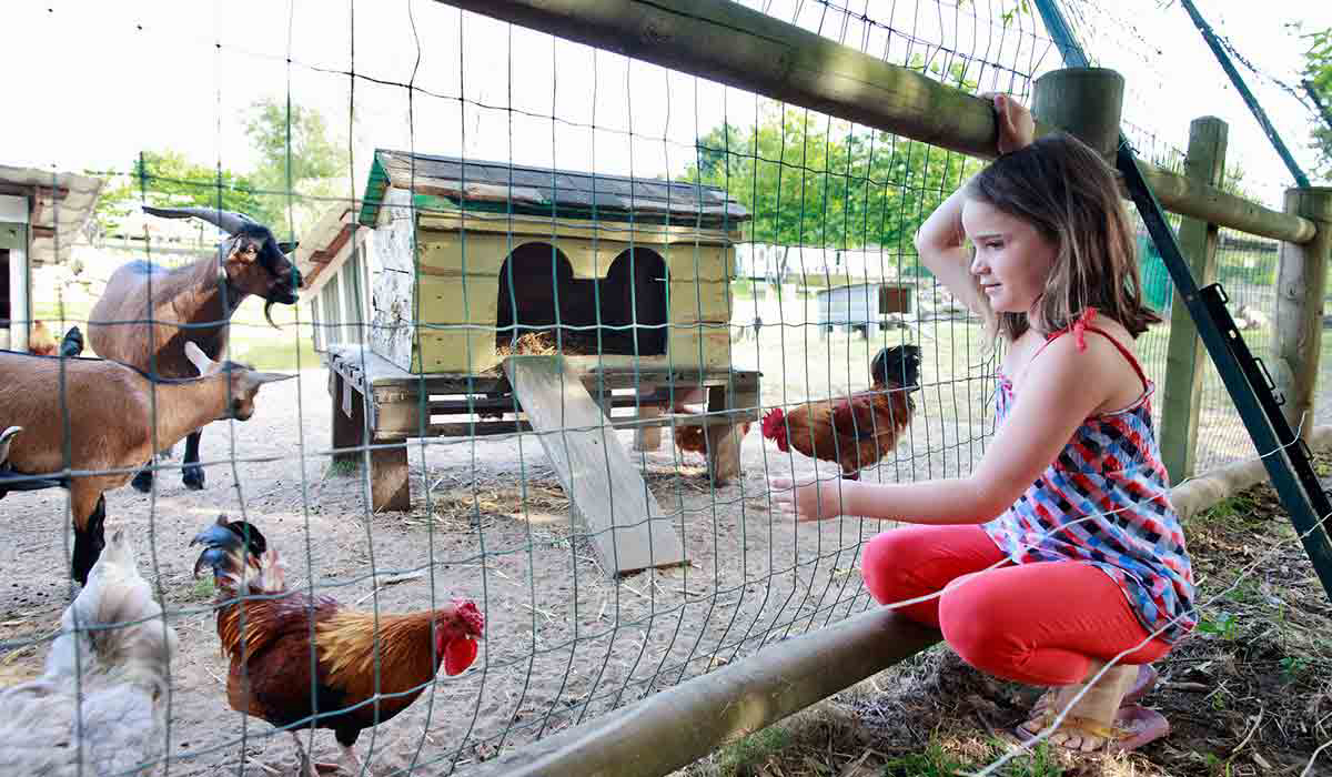 Séquoïa Parc Poitou-Charentes - Saint-Just-Luzac visuel 20/22