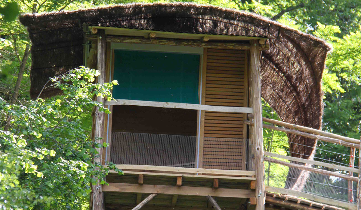 Domaine Terragora Lodges Das Loire-Gebiet - Les Épesses visuel 9/12 Domaine Terragora Lodges Das Loire-Gebiet - Les Épesses visuel 9/12