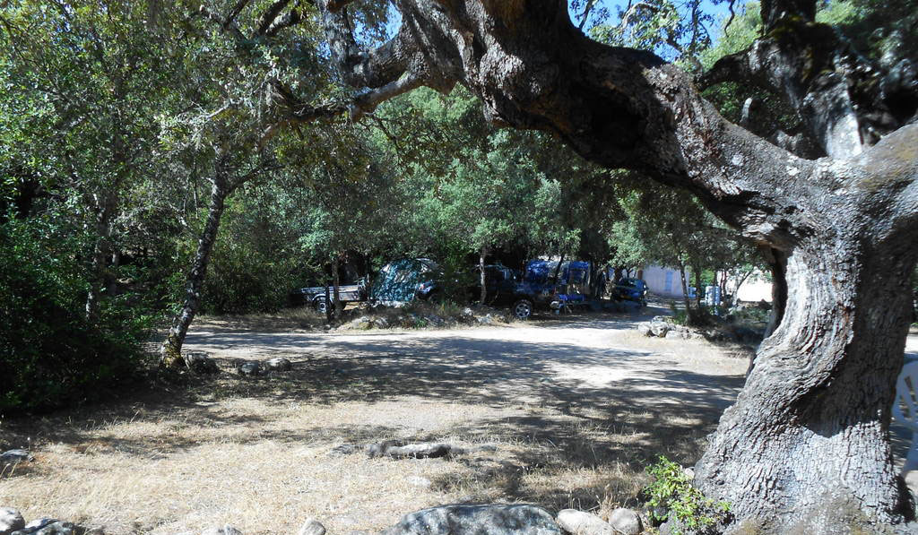 Tizarella Korsika - Moltifao visuel 1/1