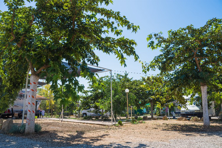 Torre Sabea Apulien - Gallipoli visuel 4/9