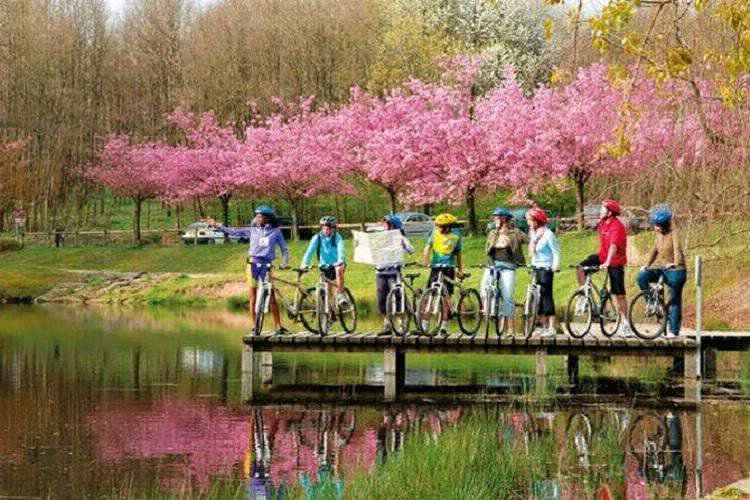 Villages Bitche Lothringen - Bitche visuel 6/8 Villages Bitche Lothringen - Bitche visuel 6/8