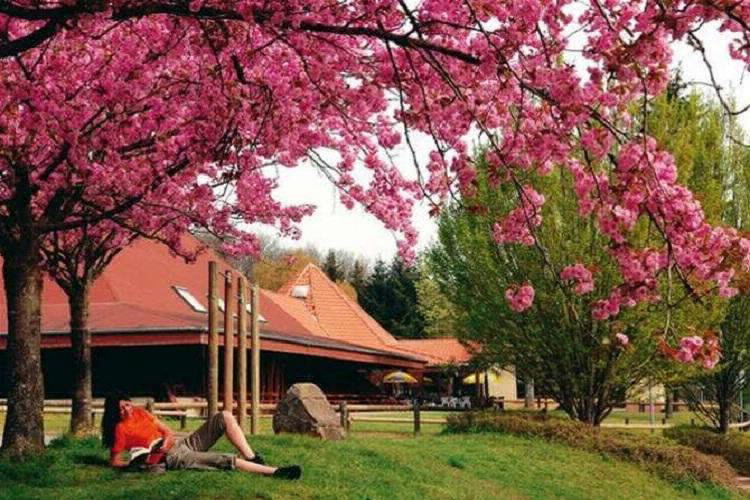 Villages Bitche Lothringen - Bitche visuel 5/8 Villages Bitche Lothringen - Bitche visuel 5/8