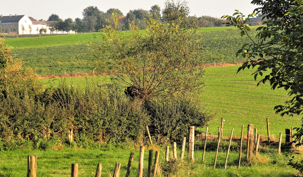 Vakantie Boerderij Bruisterbosch Limburg - sint geertruid visuel 1/3