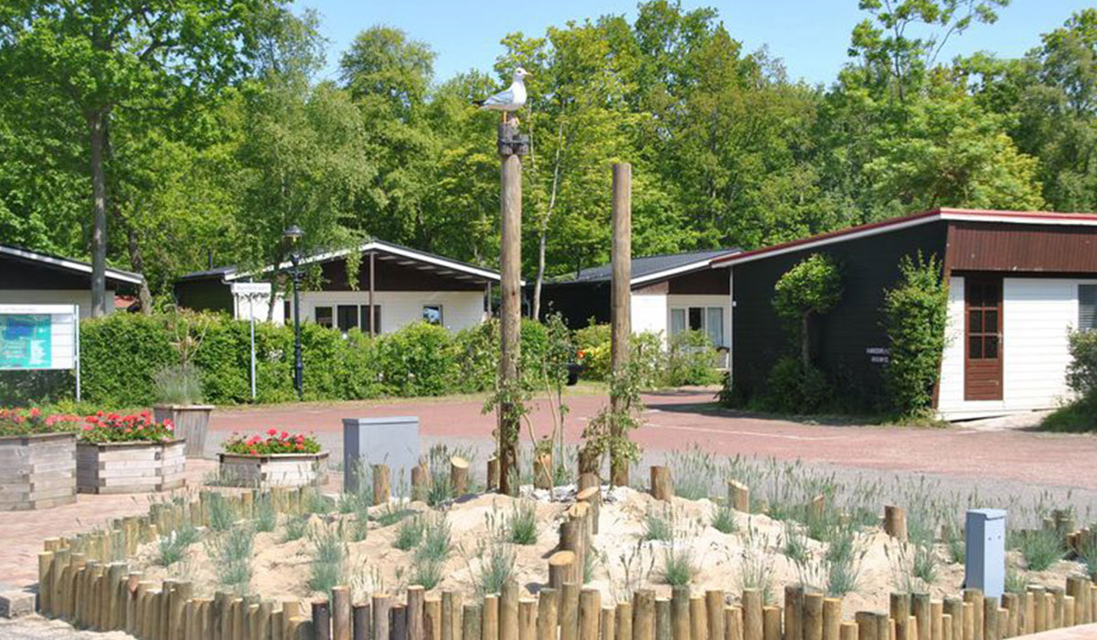 Vakantiepark Schouwen Zeeland - Renesse visuel 1/1 Vakantiepark Schouwen Zeeland - Renesse visuel 1/1
