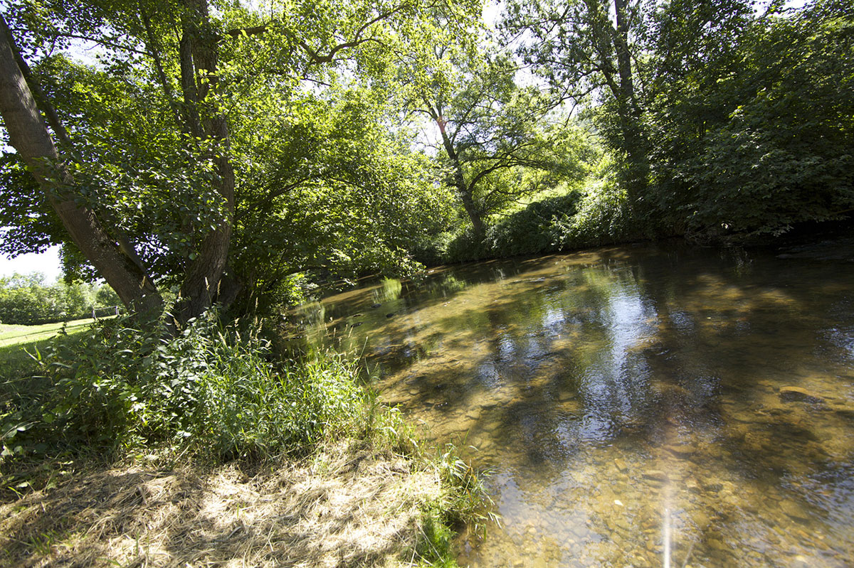 Val de Coise Rhône-Alpen - Saint-Galmier visuel 8/13