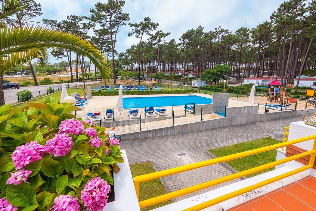 Valado Lisboa - Nazaré visuel 6/16