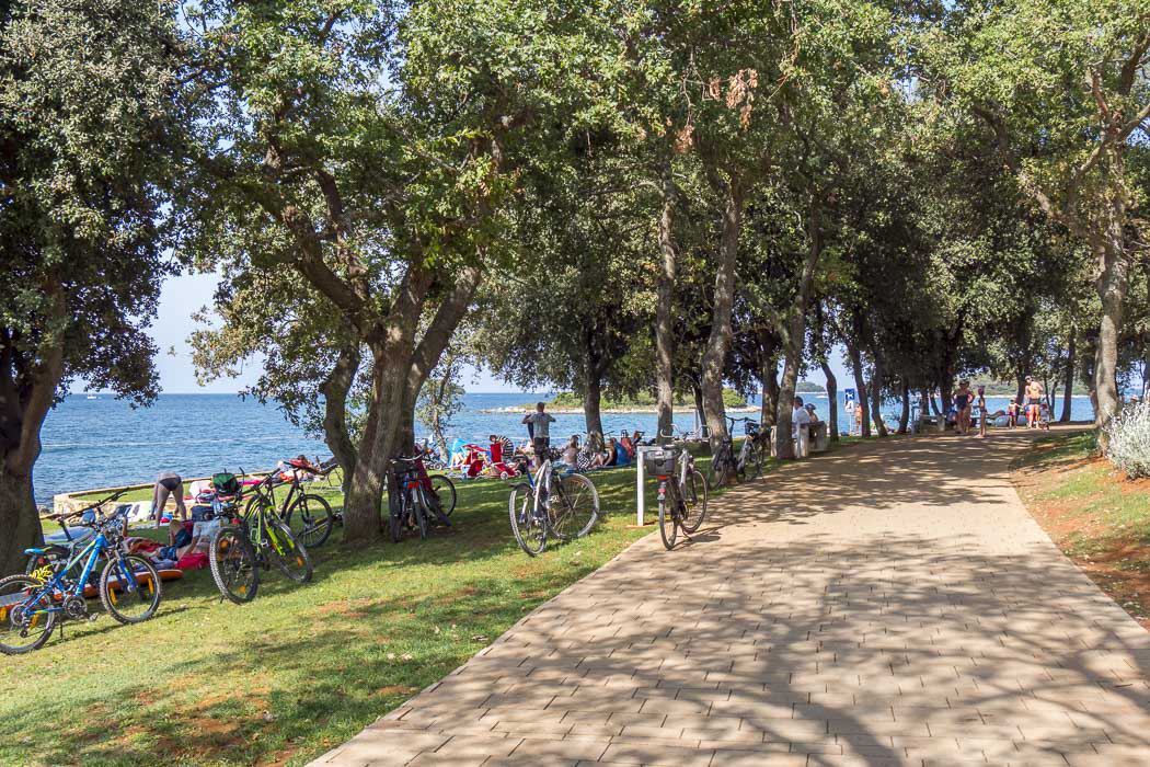 Valkanela Istrien - Vrsar visuel 13/14