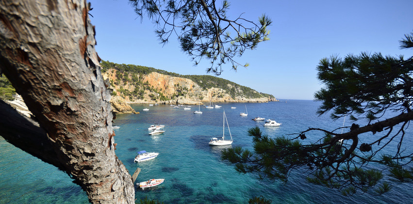 Vallongue Provence-Alpes-Côte d'Azur - Bandol visuel 1/1 Vallongue Provence-Alpes-Côte d'Azur - Bandol visuel 1/1