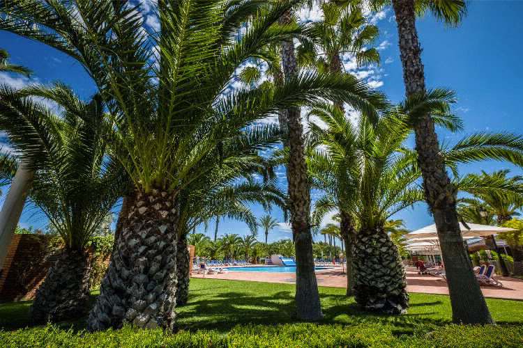 Vendrell Platja Costa Dorada - Coma-ruga visuel 6/7 Vendrell Platja Costa Dorada - Coma-ruga visuel 6/7