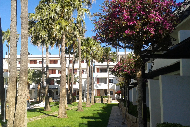 Village Club Tamarindos Valencia Gemeinschaft - Peñiscola visuel 5/7