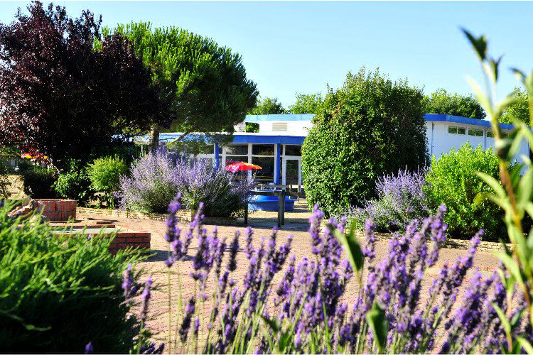 Village Vacances Vendée Océan Das Loire-Gebiet - Longeville sur Mer visuel 8/8