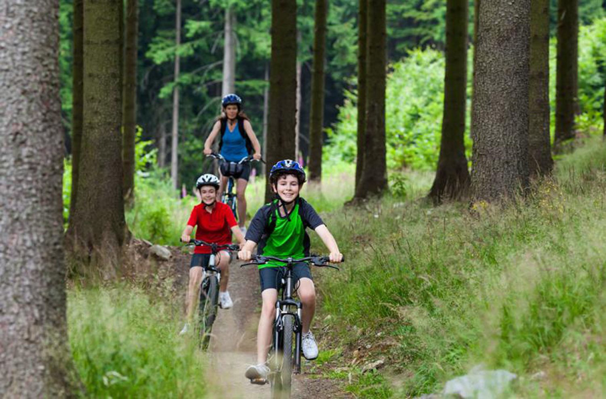 Village de Vacances Fiemme Trentino Südtirol - Trentino Südtirol - Bellamonte visuel 5/7