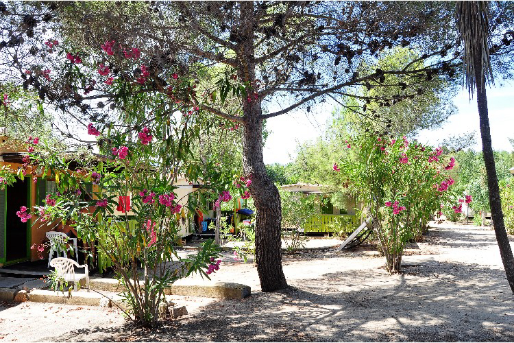 Villaggio Sos Flores Sardinien - Tortoli visuel 5/7