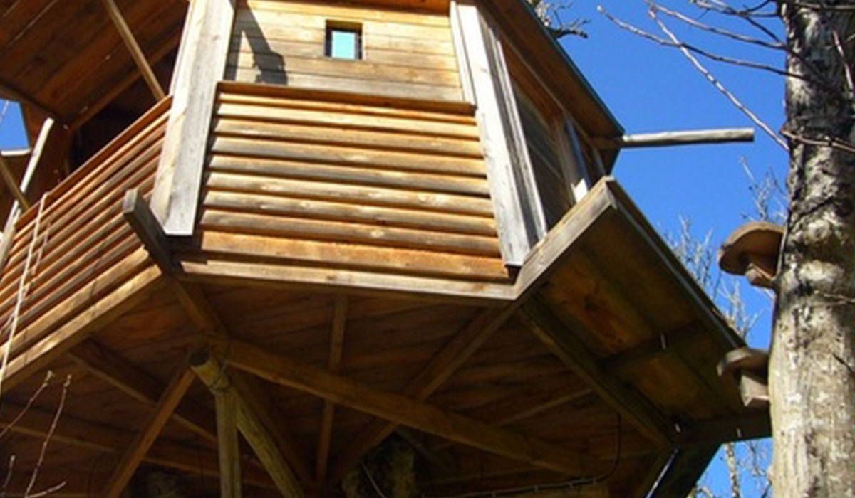 Walnut Tree Farm Algarve - aljezur visuel 1/2