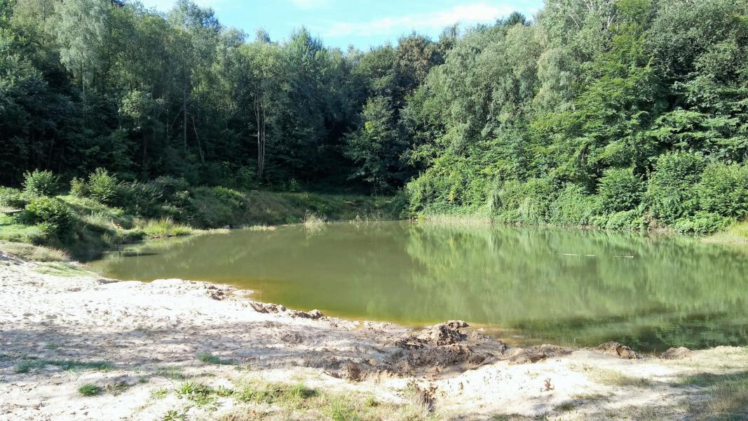 Wingst Niedersachsen - wingst visuel 3/4