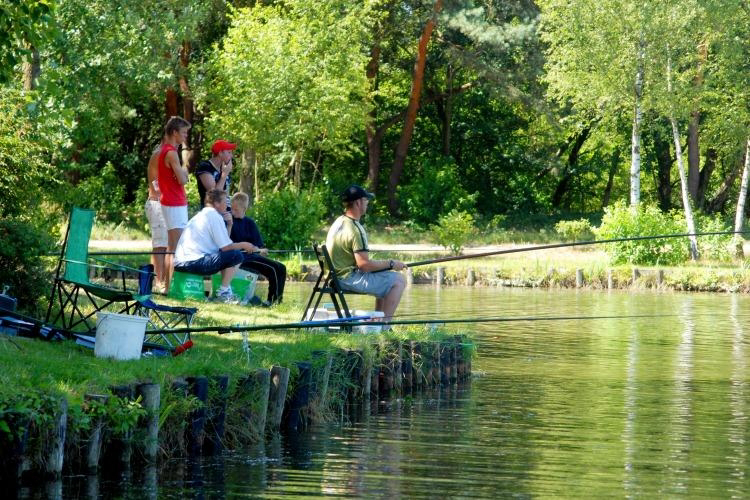 Zilverstrand Antwerpen - Mol visuel 6/8 Zilverstrand Antwerpen - Mol visuel 6/8