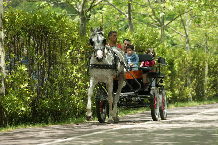 Zumaia Baskenland Spanisch - Zumaia visuel 5/9