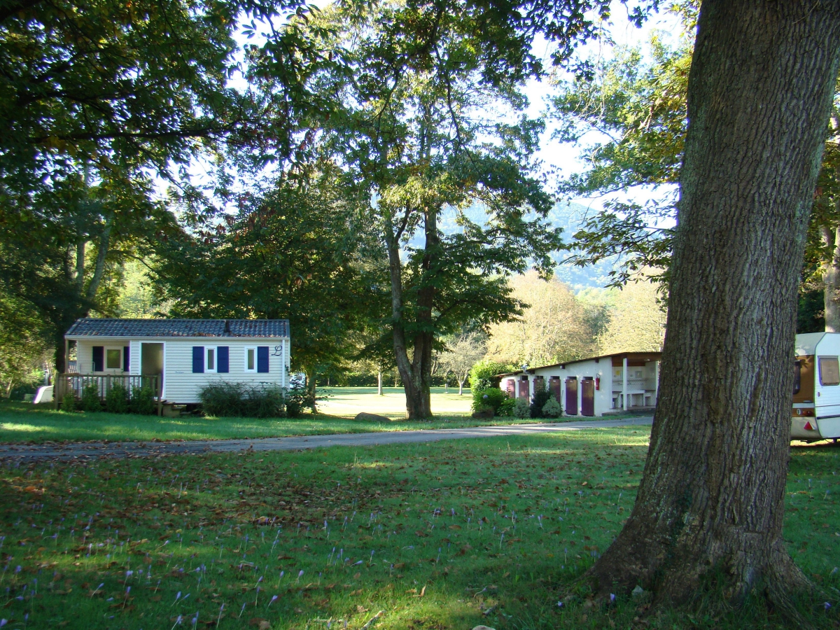 A l’Ombre des Tilleuls Midi-Pyrénées - Peyrouse visuel 9/10