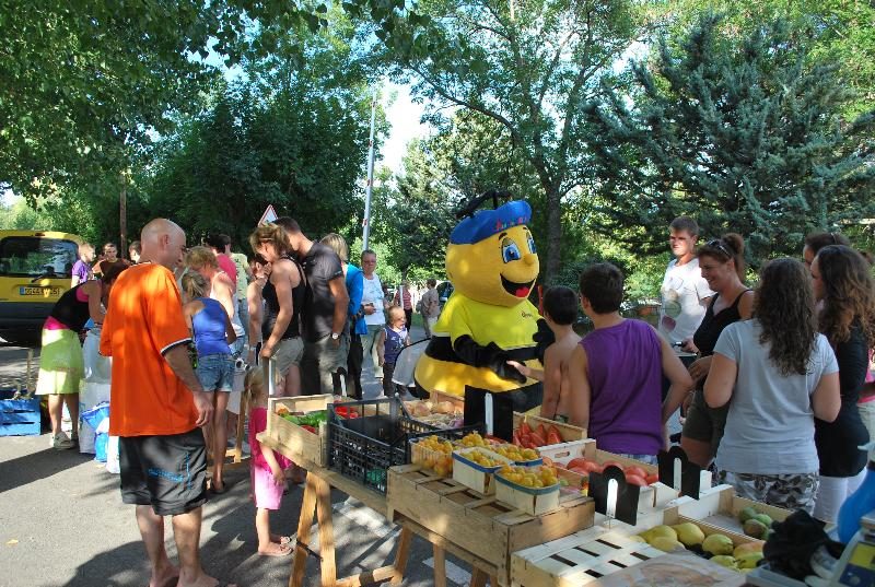 Alpes Dauphiné Provence-Alpes-Côte d'Azur - Gap visuel 10/10