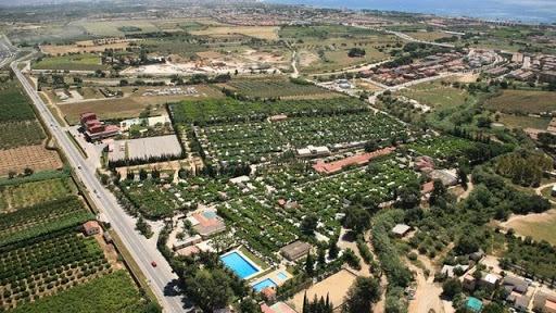 Amfora d'Arcs Costa Dorada - Cambrils visuel 1/10 Amfora d'Arcs Costa Dorada - Cambrils visuel 1/10