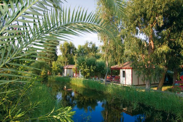 Arinella Bianca Korsika - Ghisonaccia visuel 8/17