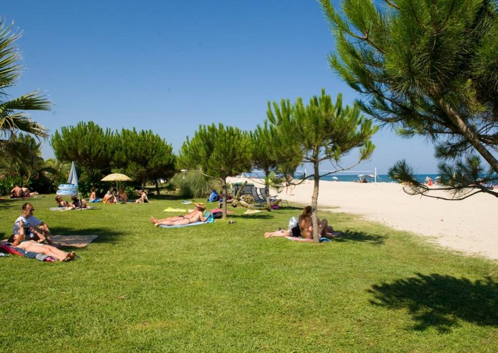 Arinella Bianca Korsika - Ghisonaccia visuel 6/17