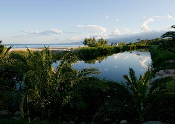 Arinella Bianca Korsika - Ghisonaccia visuel 7/17