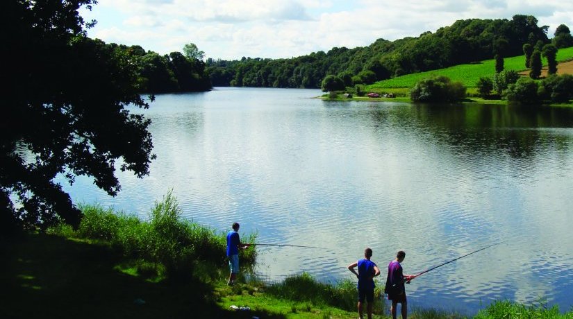 Au Bocage du Lac Bretagne - Jugon les Lacs visuel 11/12 Au Bocage du Lac Bretagne - Jugon les Lacs visuel 11/12