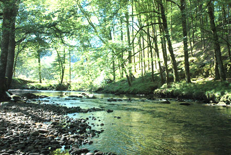Au Bois de Calais Limousin - Corrèze visuel 2/10 Au Bois de Calais Limousin - Corrèze visuel 2/10
