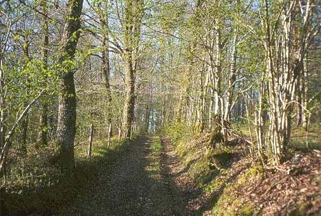Au Bois de Calais Limousin - Corrèze visuel 3/10 Au Bois de Calais Limousin - Corrèze visuel 3/10