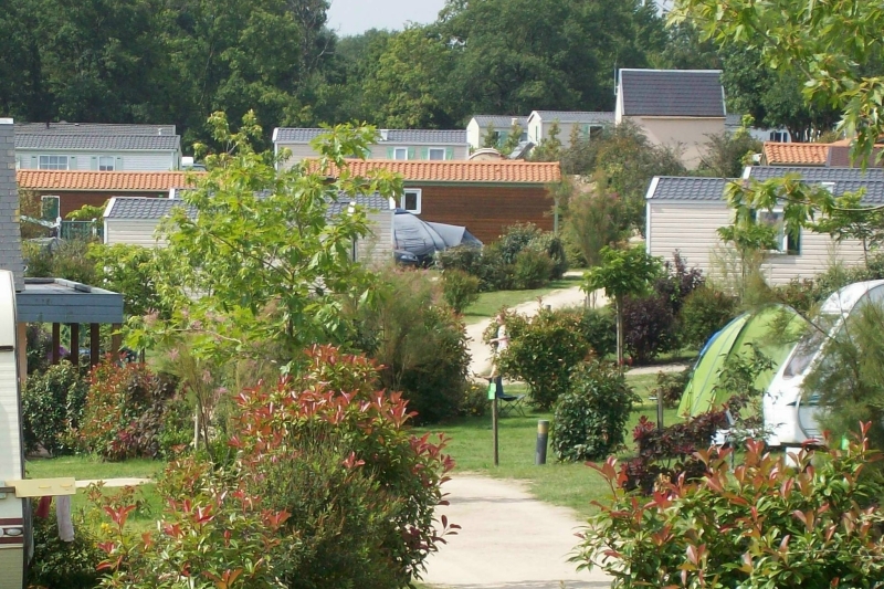Au Bois du Cé Das Loire-Gebiet - Chambretaud visuel 8/11 Au Bois du Cé Das Loire-Gebiet - Chambretaud visuel 8/11