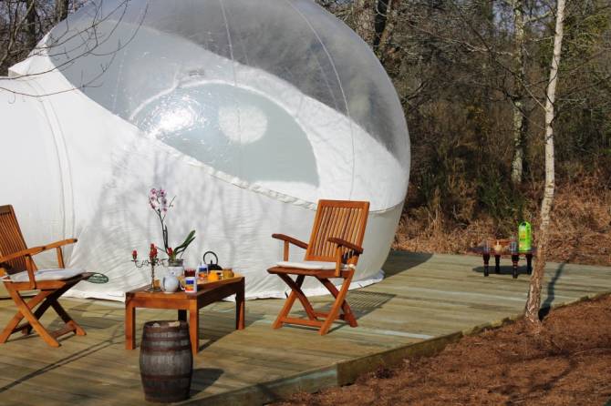 Au Pays des Bulles Poitou-Charentes - Montendre visuel 2/6 Au Pays des Bulles Poitou-Charentes - Montendre visuel 2/6