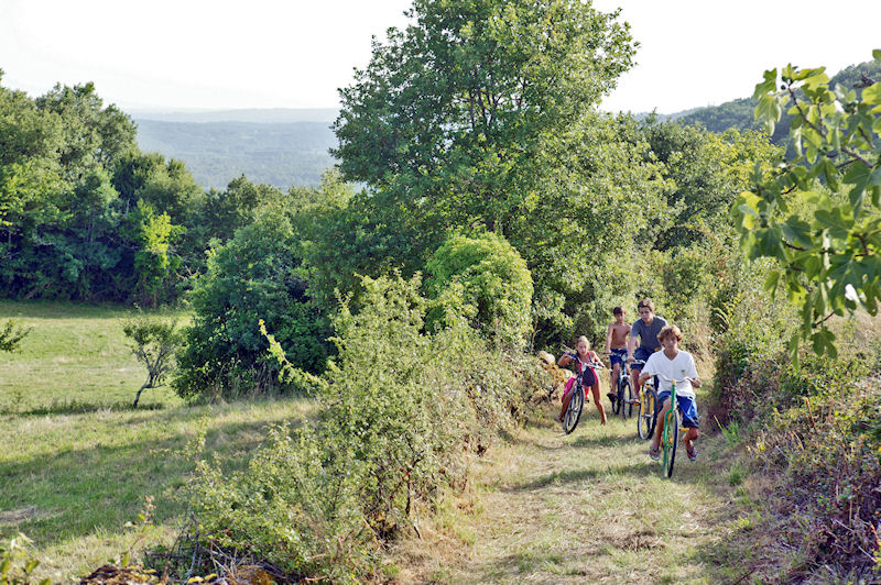 Au p'tit Bonheur Aquitanien - Peyrillac-et-Millac visuel 6/10