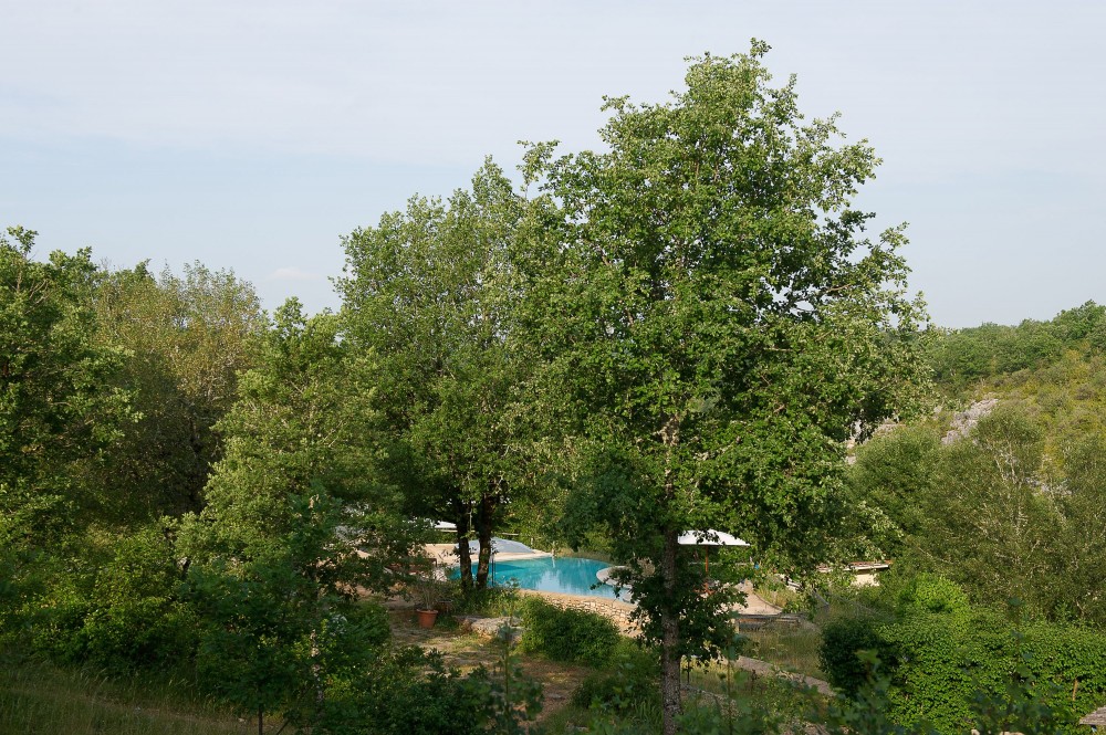 Aux Lodges du Mas de Nadal Midi-Pyrénées - Sauliac-sur-Célé visuel 3/9