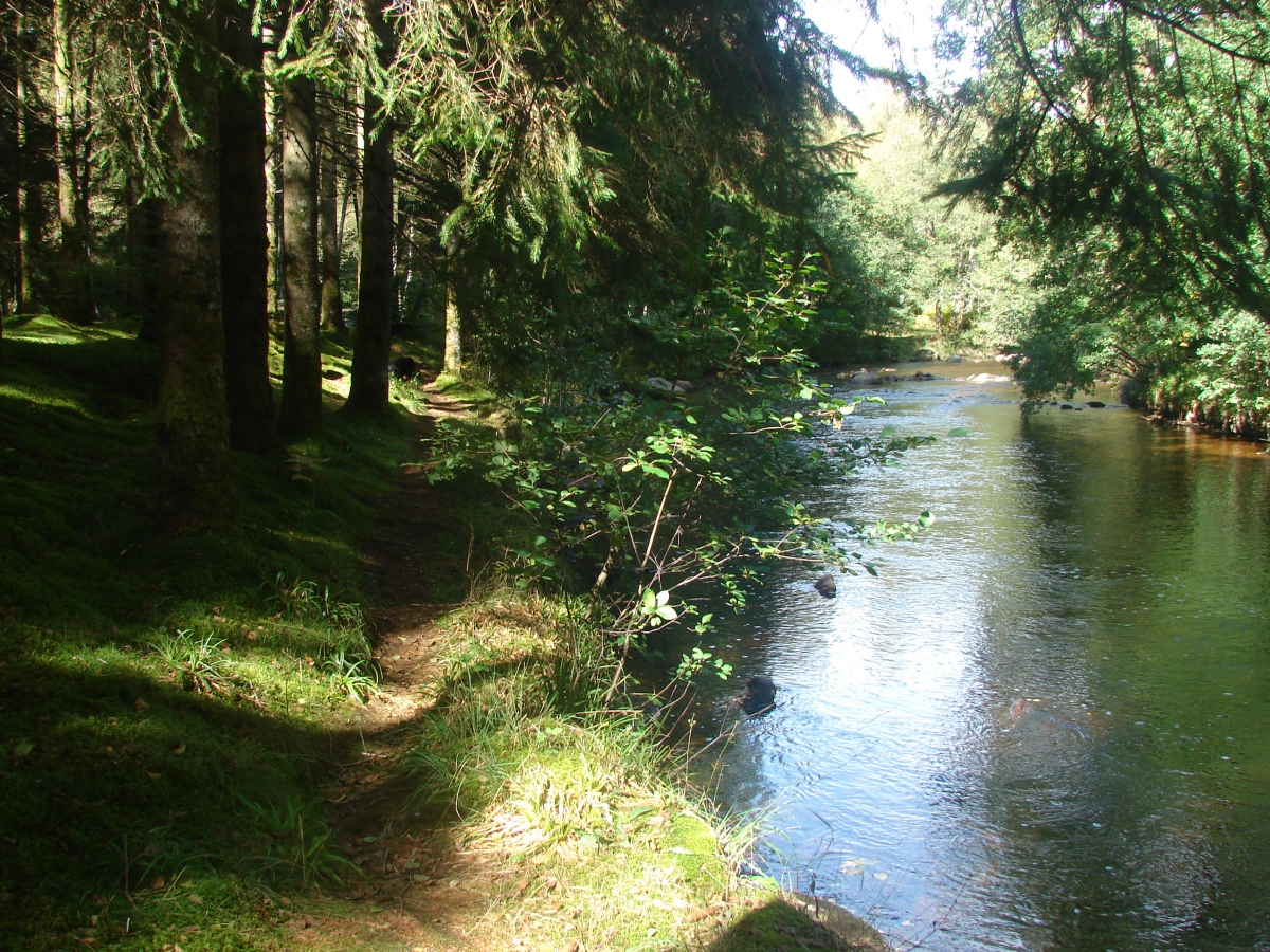 Aux Portes des Mille Sources Limousin - Bugeat visuel 2/8 Aux Portes des Mille Sources Limousin - Bugeat visuel 2/8
