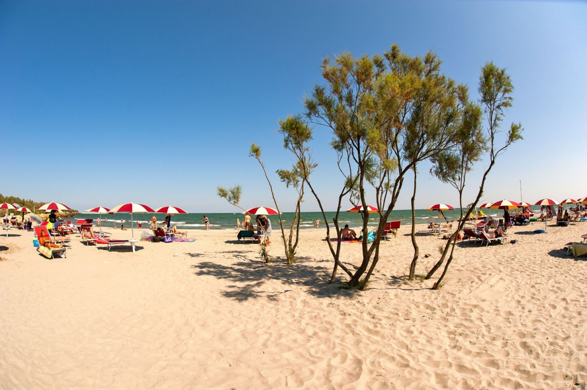 Barricata Venetien - Bonelli di Porto Tolle visuel 9/10 Barricata Venetien - Bonelli di Porto Tolle visuel 9/10