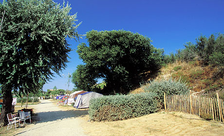 Beauregard Plage Languedoc-Roussillon - Marseillan visuel 4/8 Beauregard Plage Languedoc-Roussillon - Marseillan visuel 4/8