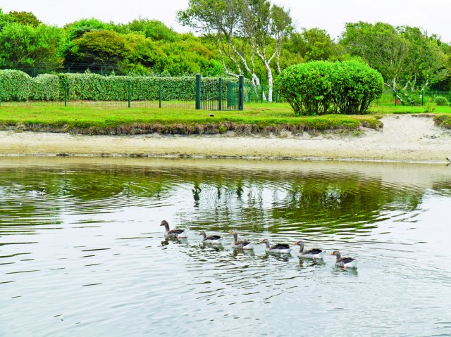 Belle Dune Nord-Pas de Calais - Berck visuel 10/11 Belle Dune Nord-Pas de Calais - Berck visuel 10/11