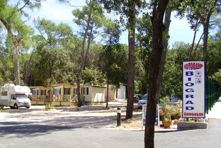 Biograd Dalmatien - Biograd visuel 2/8