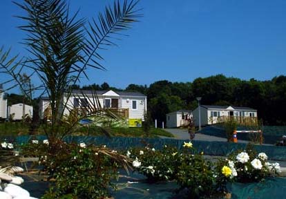 Bois et Marais Basse-Normandie - Touffréville visuel 4/8 Bois et Marais Basse-Normandie - Touffréville visuel 4/8