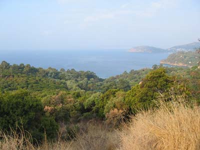 Bonporteau Provence-Alpes-Côte d'Azur - Cavalaire-sur-Mer visuel 6/10 Bonporteau Provence-Alpes-Côte d'Azur - Cavalaire-sur-Mer visuel 6/10