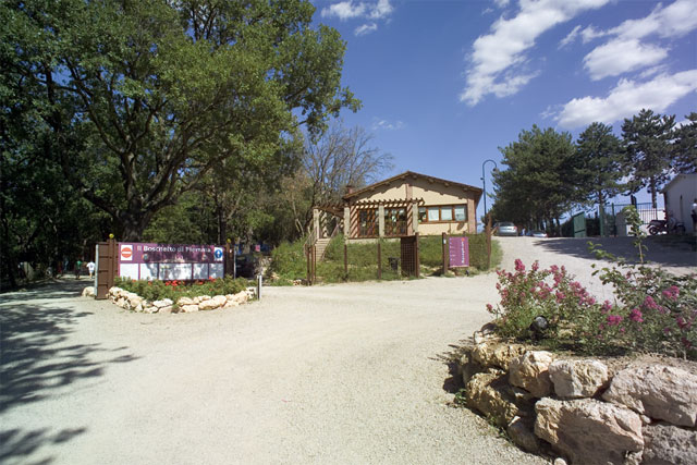 Boschetto di Piemma Toskana - San Gimignano visuel 9/10