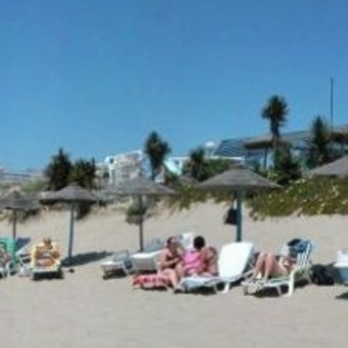 Buganvilla Andalusien - Marbella visuel 3/6